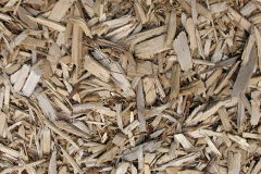 biomass boilers Llanbabo